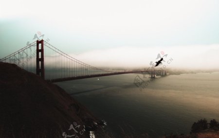 旧金山跨海大桥