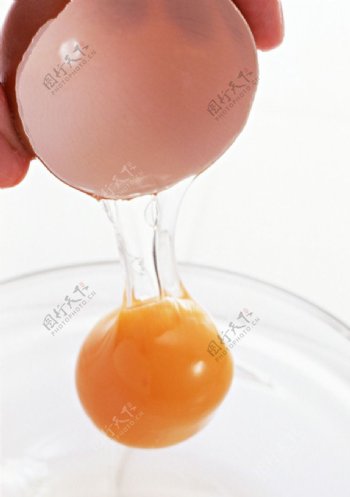 新鲜的鸡蛋