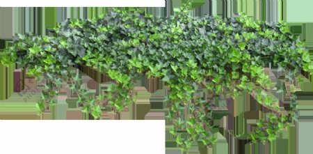 一堆绿色小叶片树叶透明植物素材