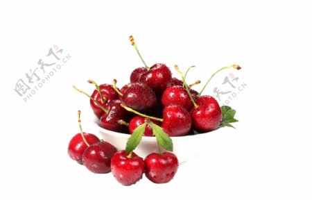 樱桃食物水果果实植物素材