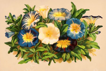 复古手绘花卉装饰画