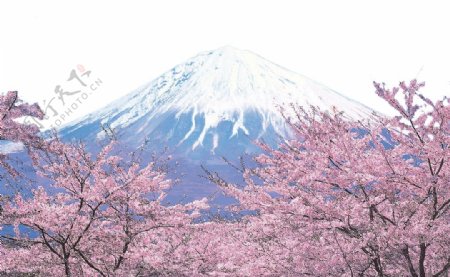 浪漫清新雪山日本旅游装饰元素