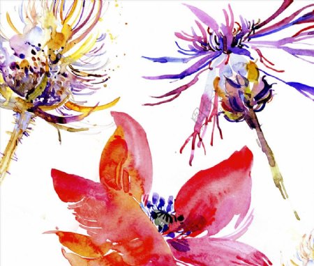 艺术水彩绘花朵