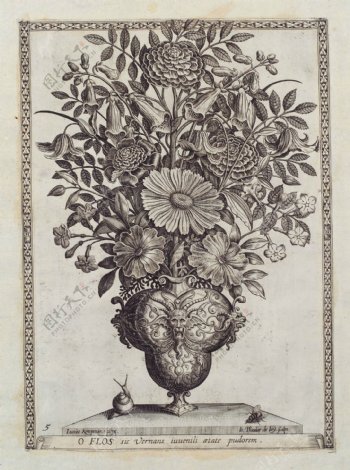 古典图案花卉素描版画木刻