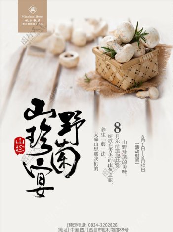 野山菌美食文化活动海报