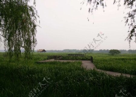 通州运河风景