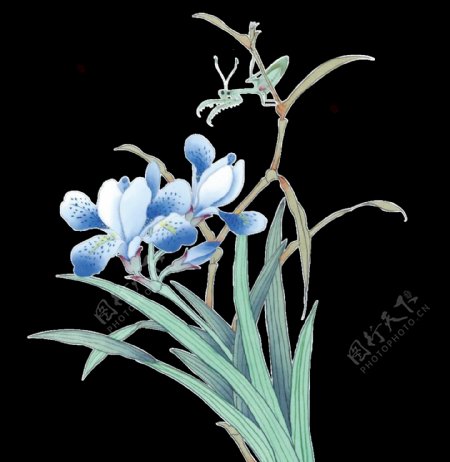 彩绘蓝色花卉元素