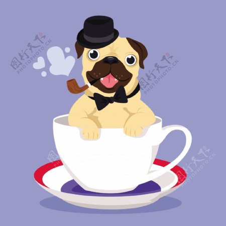咖啡杯里的优雅哈巴狗