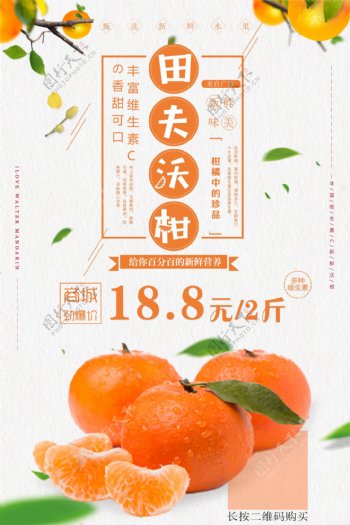 清新沃柑橘子美食海报