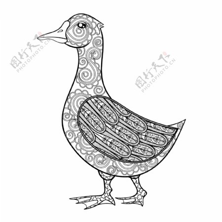 黑白艺术动物鸭子插画