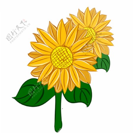 手绘植物花向日葵黄色可爱小清新可商用元素