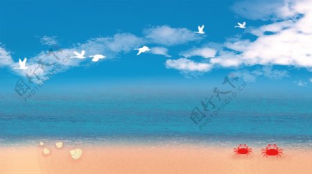 蓝天下的海滩贝壳螃蟹风景