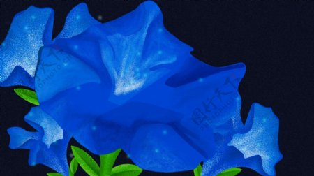 唯美蓝色花朵背景设计