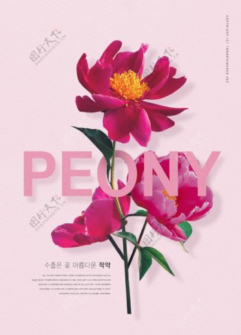 粉色韩系红花促销海报设计