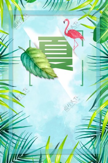 清新植物夏天背景海报