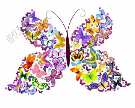 多个小蝴蝶组成的彩色蝴蝶
