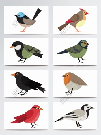 创意设计自然鸟类