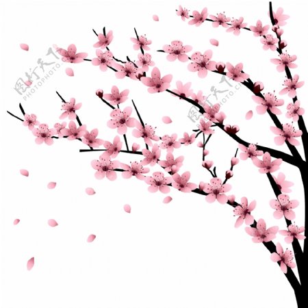 清新风格灯笼樱花树枝装饰元素