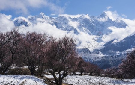 藏区雪山美景