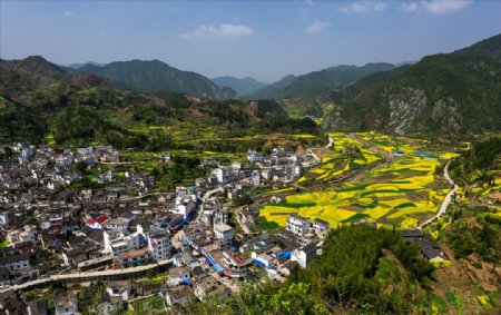 田园油菜花风景摄影