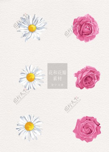 花和花瓣花朵手绘水彩ai矢量元