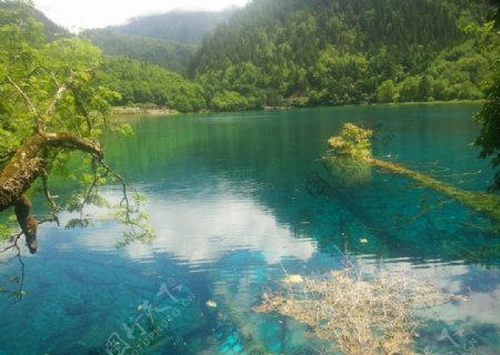 自由拍摄风景