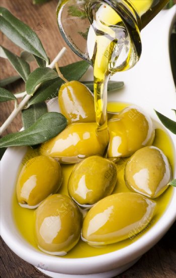 天然营养橄榄油