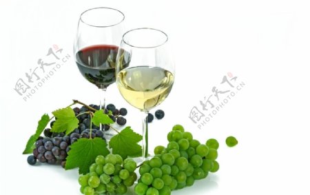 葡萄和葡萄酒