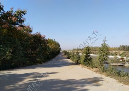 乡村道路风景