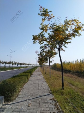 乡村道路风景