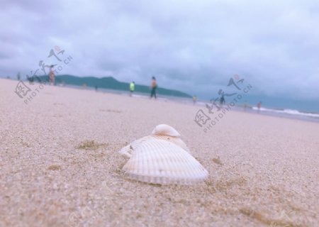 沙滩与贝壳