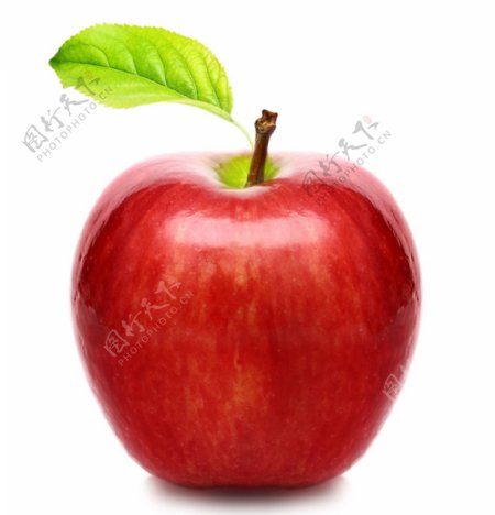水果生物世界白底食物苹