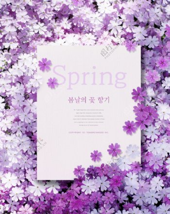 韩式春季春天气息唯美海报PSD