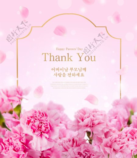 韩系粉色唯美康乃馨父亲节海报设计