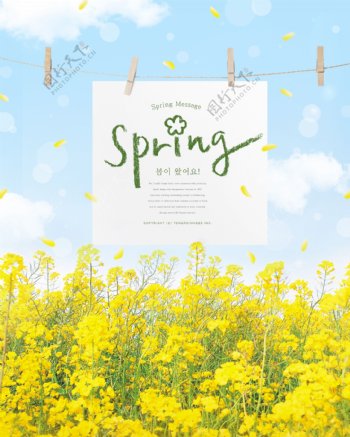 春季唯美油菜花海报模板设计