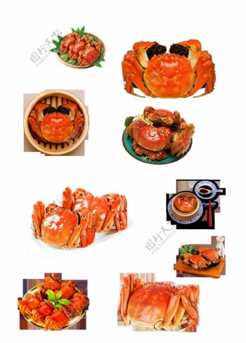 美食大闸蟹装饰素材