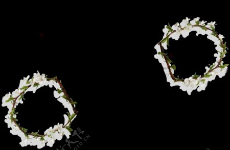 清新白色兰花花环png元素
