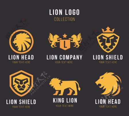 6款金色狮子标志矢量素材