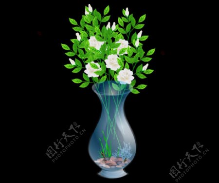花卉花瓶动态视频