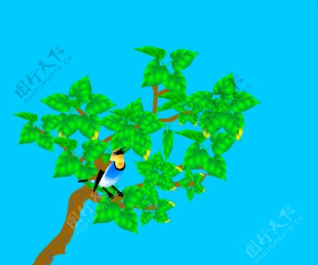 小鸟绿树动态视频