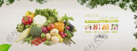 无线活动banner有机蔬菜