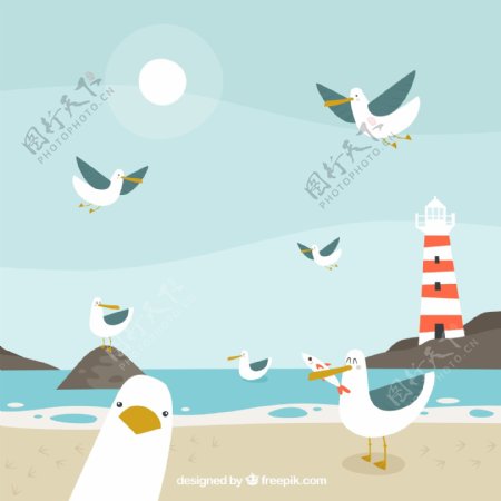 卡通沙滩边的海鸥