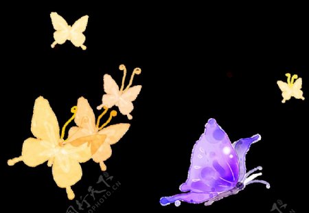 唯美黄色紫色中国风蝴蝶
