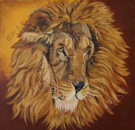 狮子油画