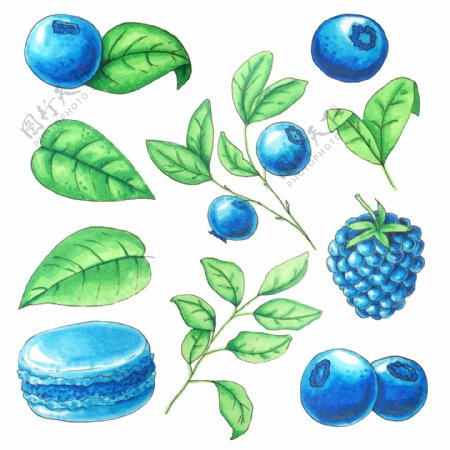 蓝莓果子手绘图案