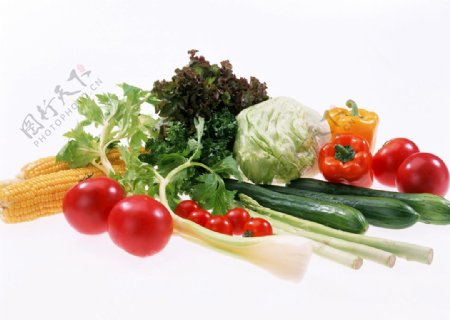 蔬菜合集玉米西红柿甜辣椒青瓜蒜