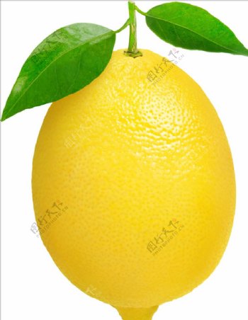 柠檬1