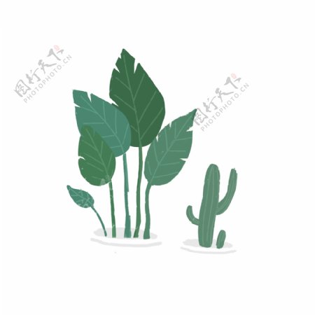 两盆绿色植物盆栽设计