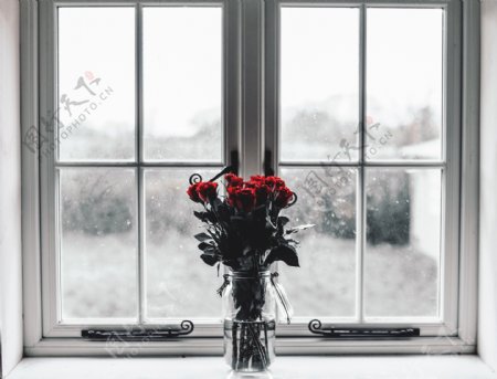 窗台上的花