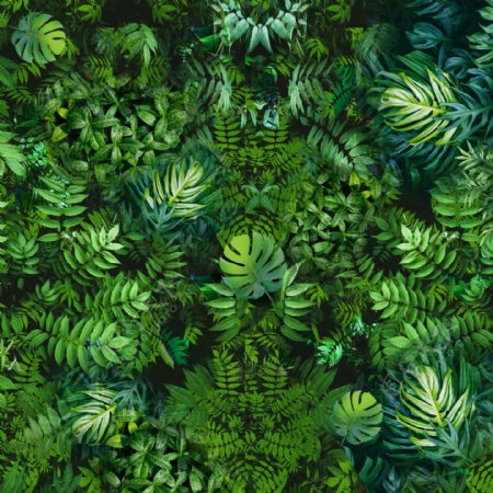 热带绿色植物贴图组合贴图用